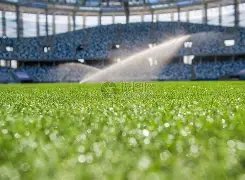 詹姆斯,岁乔丹野球,赛展露惊人,开云彩票官方网站,开云彩票团队,开云彩票,开云彩票体育集团,开云彩票赛事平台,开云彩票直播公司