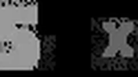 罗马诺揭秘：弟媳将成自由球员，冬歇期重返欧洲赛场在即！