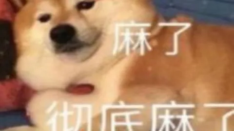 46秒英超闪电战！埃基蒂克破纪录快射，两战轰三球，明特失误引热议
