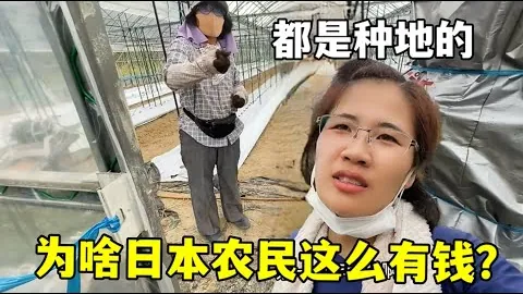【激情对决！意甲焦点战解析，比萨VS萨索洛，精彩比分预测一触即发】