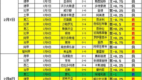 纽卡斯尔1-0击败阿森纳，英超战场再添胜绩